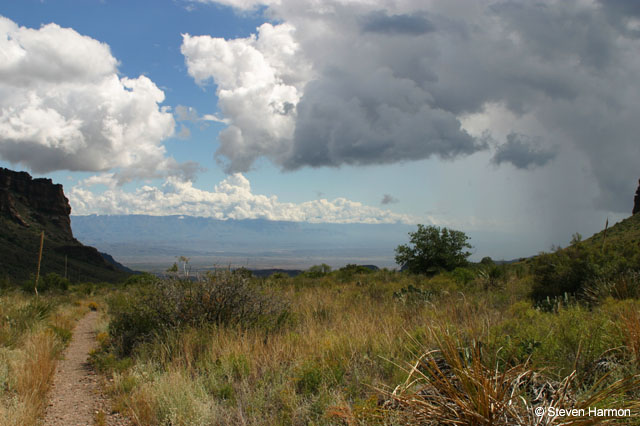 pine_canyon_view